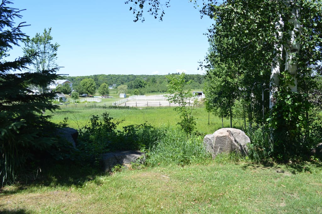 A peaceful Muskoka setting.