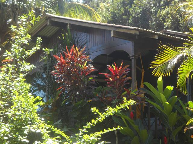 Download Rotin cabane Free HD