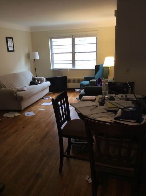 Living room and dining area -- forgive the end-of-semester papers