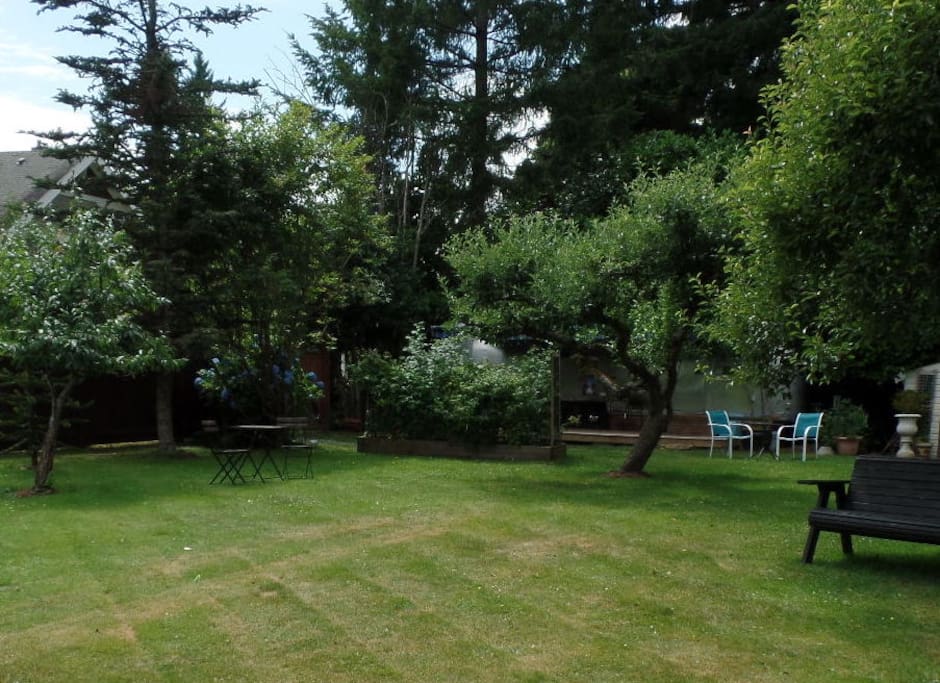 large lot- fruit trees
