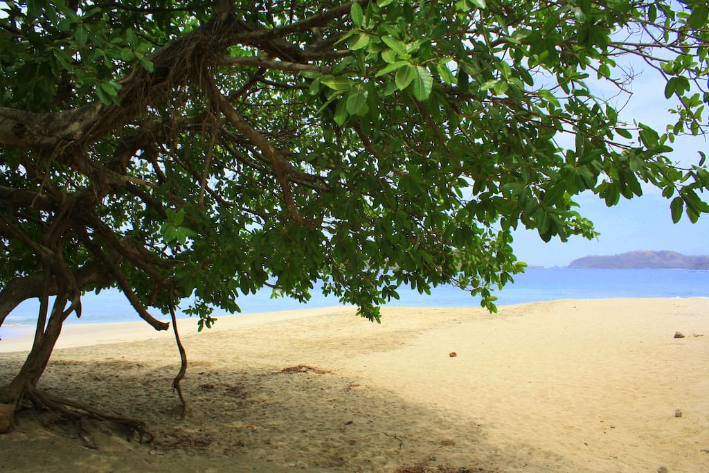 Plenty of shade trees at Beautiful Playa Penca- 3 minute walk from the condo