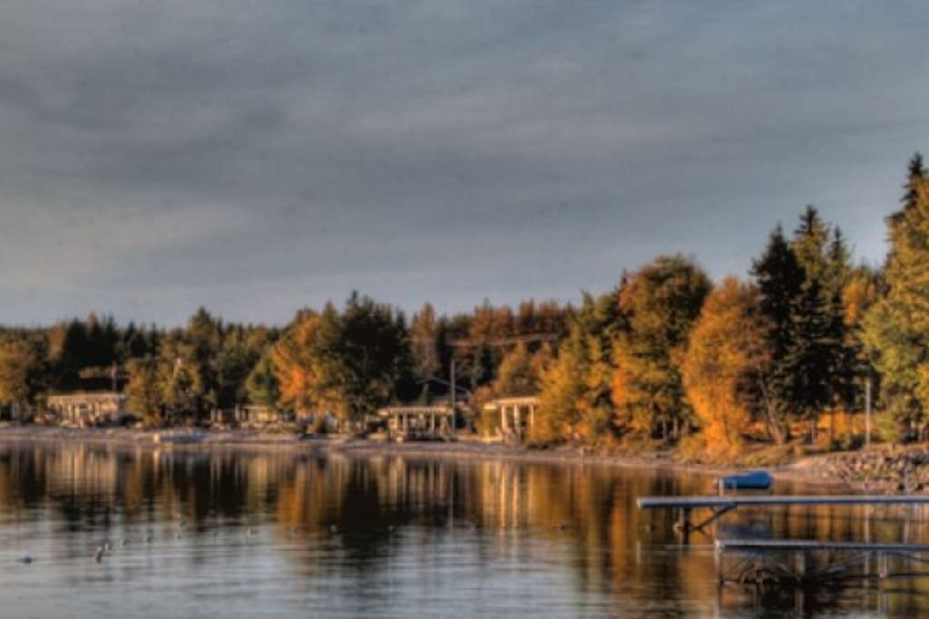 View of the lake shore
