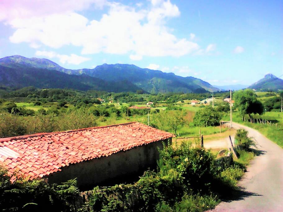view from apartment's balcony