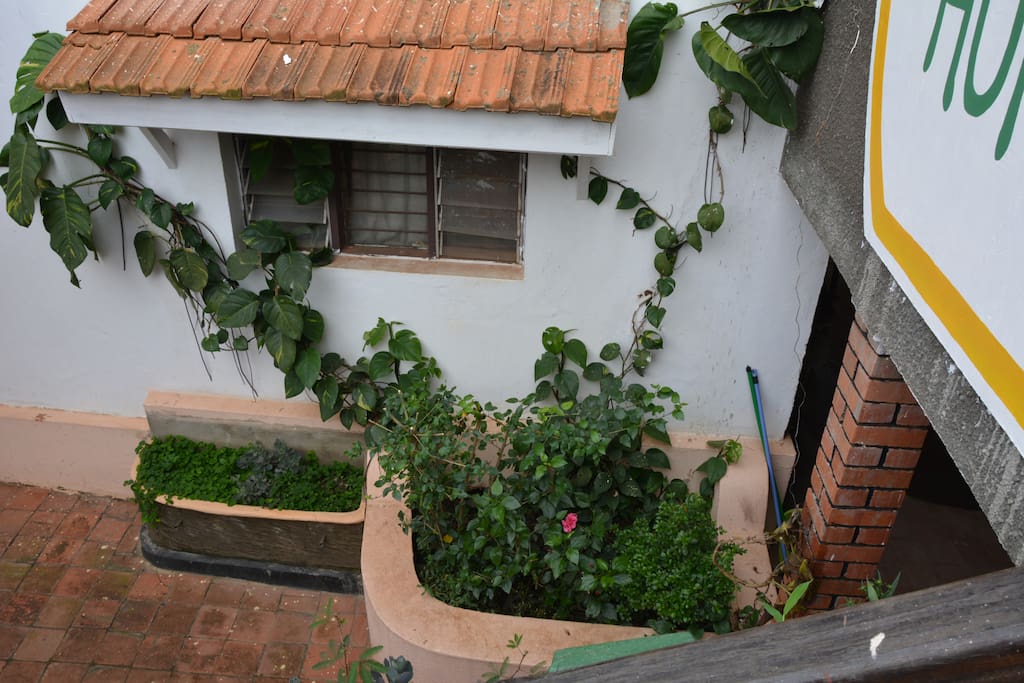 bird view from the upstairs balcony