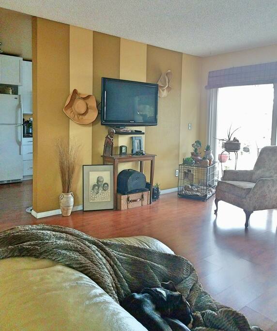 Shared living room at angle showing television