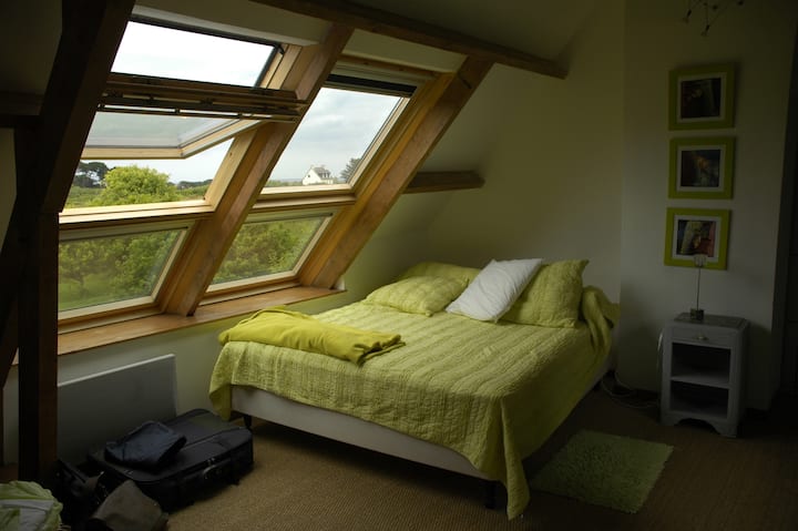 habitación de 20 m2 con cama de 180 cm
