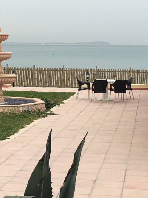 Res et s de thé mixicalli au bord de plage de Sidi jehmi 4 min à pied de l’hébergement