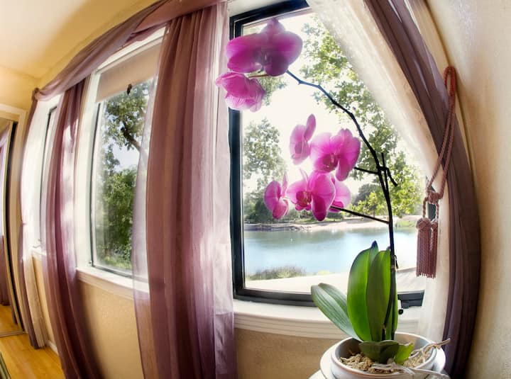 סוויטת חדר גן עדן פתוח