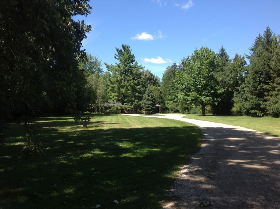Front Lawn