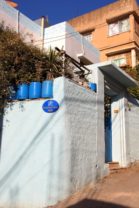 The Blue House 