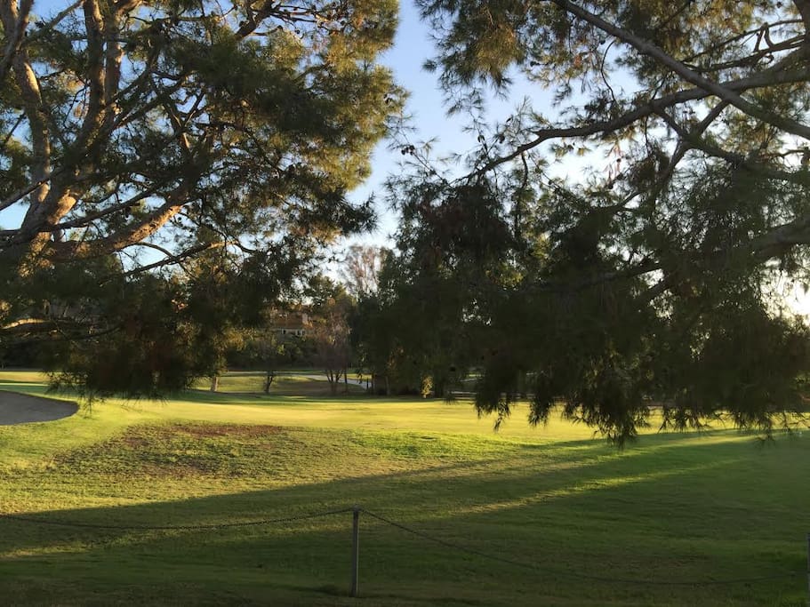 Gorgeous golf course views!