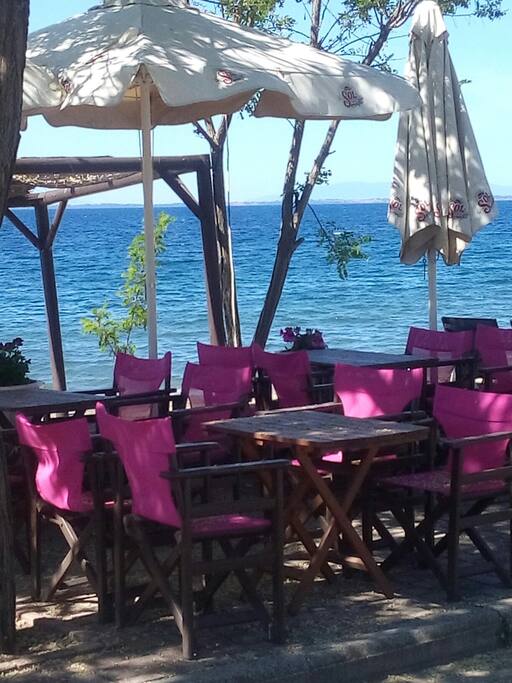 maze beach bar