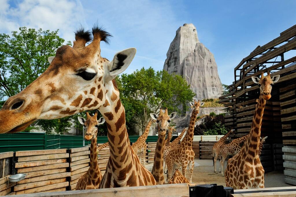 Zoo de Vincennes