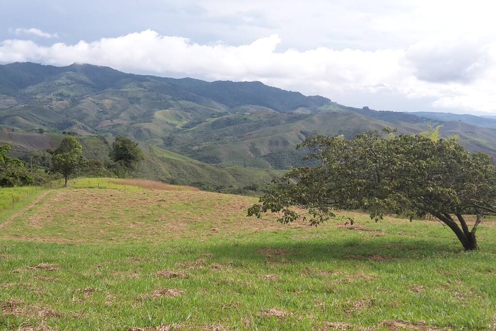 Hermosa vista a la coordillera occidental