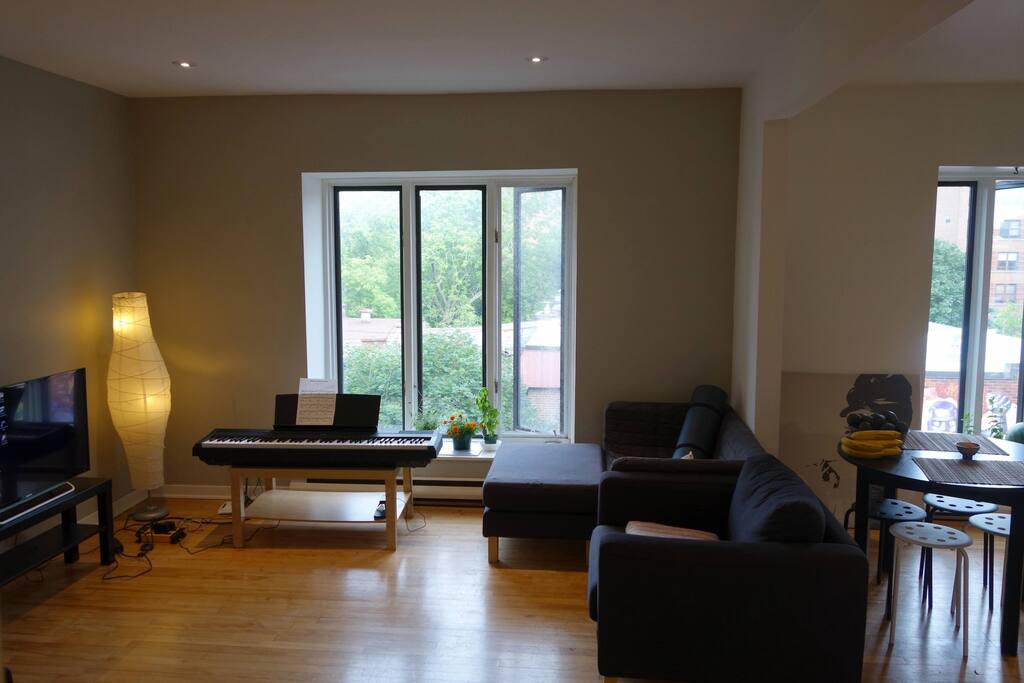 Bright and spacious living room