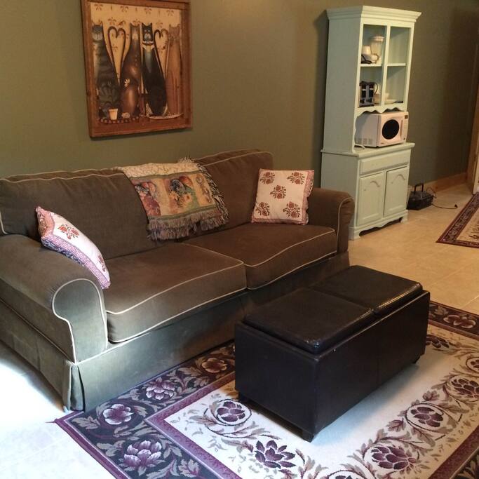 Bright, clean living room with new cable tv!