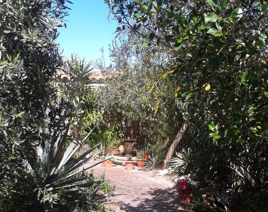 Jardin exotique.