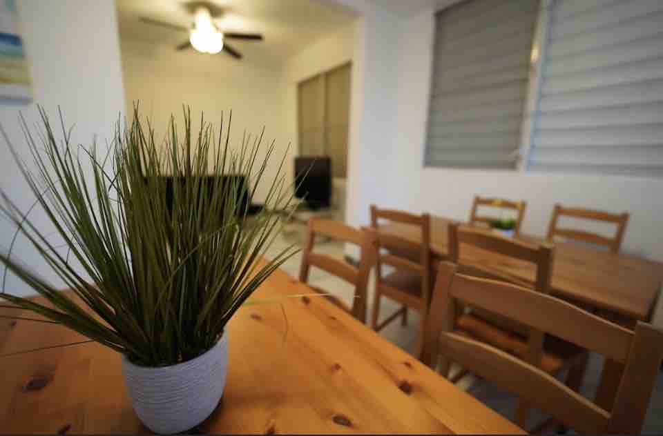 A wooden dining table is set with several light-colored chairs, accompanied by a small potted plant at the center. A large window is visible in the background, allowing natural light to illuminate the space. Alongside, a ceiling fan can be seen, enhancing comfort.