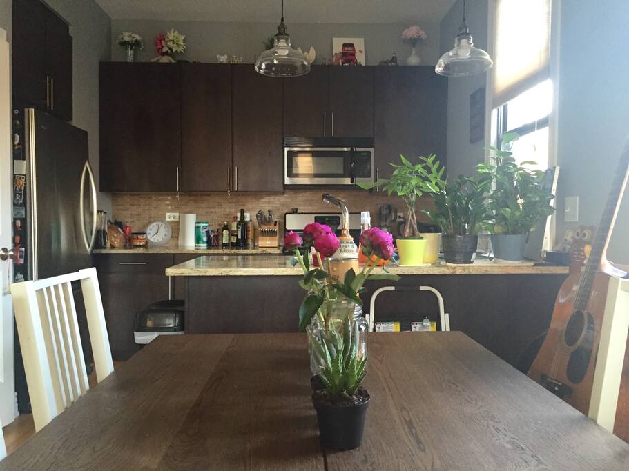 Shared kitchen