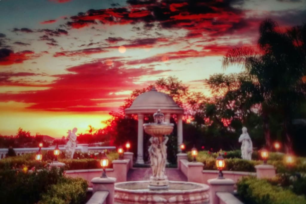 The luminous garden at dusk.