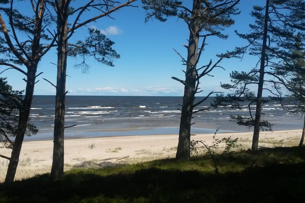 до моря 500 метров