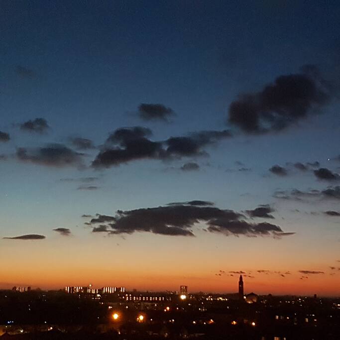 view