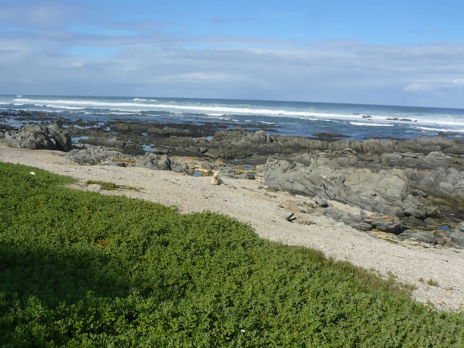 Long walks left on the beach