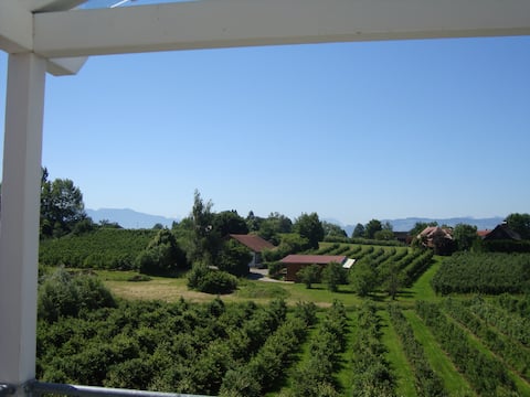 Beautiful view / Schöne Aussicht