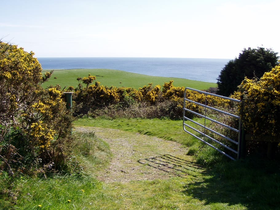 Gate way into property