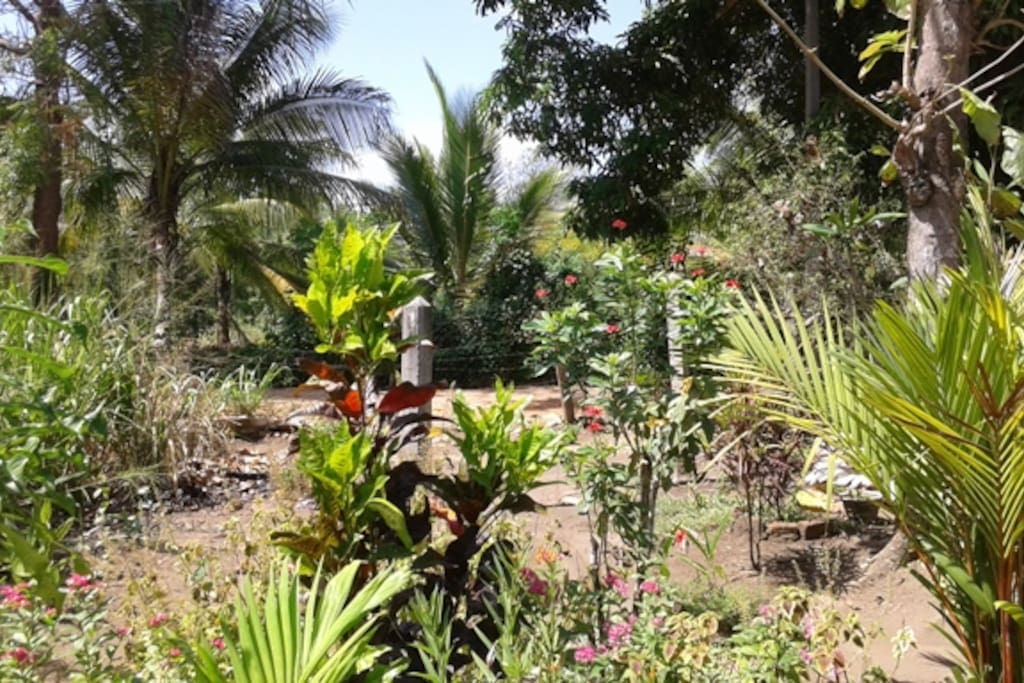 the area