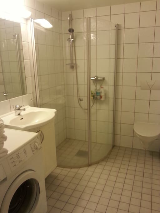 Bathroom with AEG washing machine