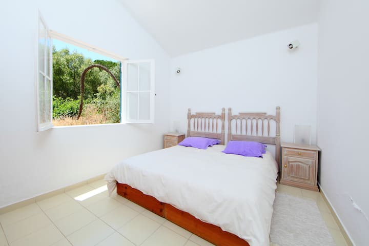 房间1 ：一张床或两张床，您可以随意使用