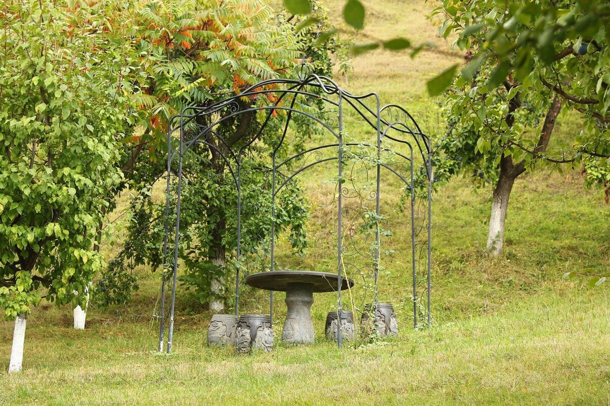 A metal gazebo with climbing vines is positioned amidst a lush green landscape, featuring a stone table surrounded by stone stools. The surrounding trees provide a natural backdrop, enhancing a serene outdoor setting for relaxation.