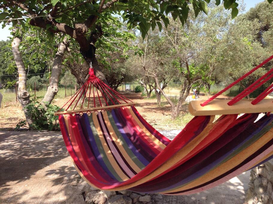 Between the trees in a hammock! This is how vacation is meant to be!