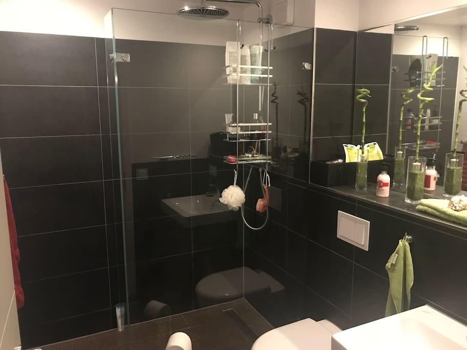 Duschbad mit begehbarer Dusche