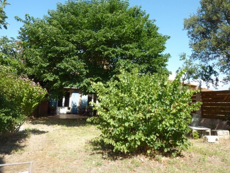 Jardin