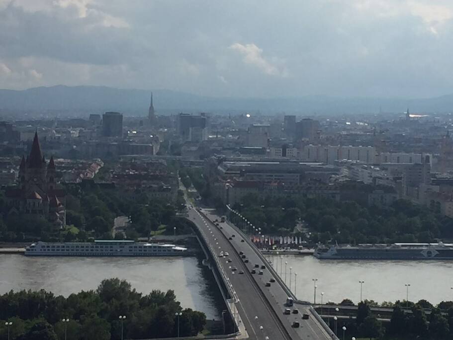 The View