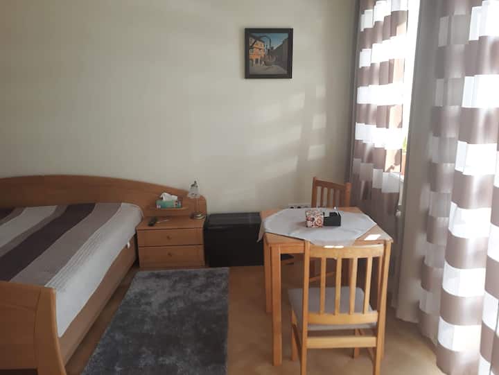 Gabčíkovo Vacation Rentals & Homes Trnava Region, Slovakia Airbnb