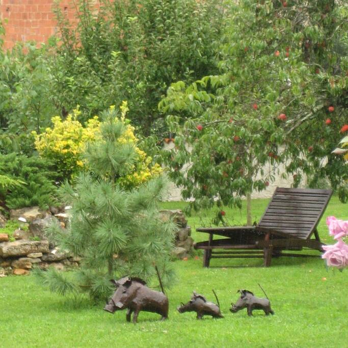 The wild boar are about
