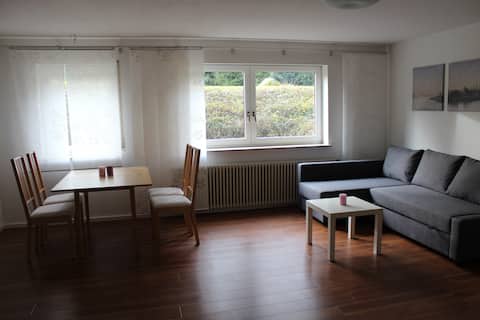 Spacious, bright apartment near Freiburg