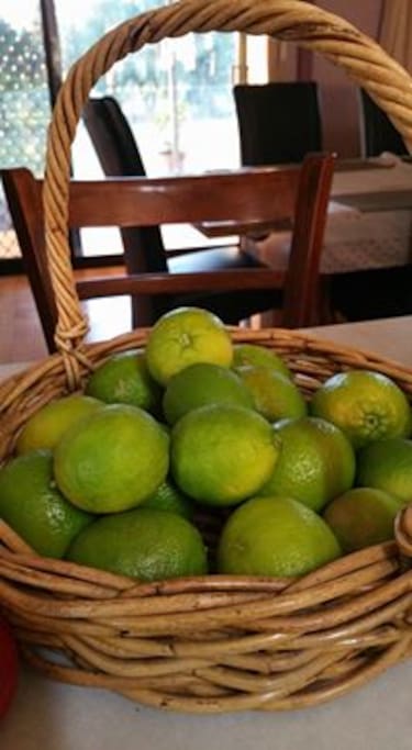 Limes from the orchard