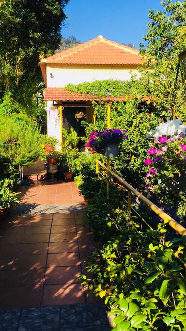 Entrance to the garden - aromatic herbs that you can enjoy
