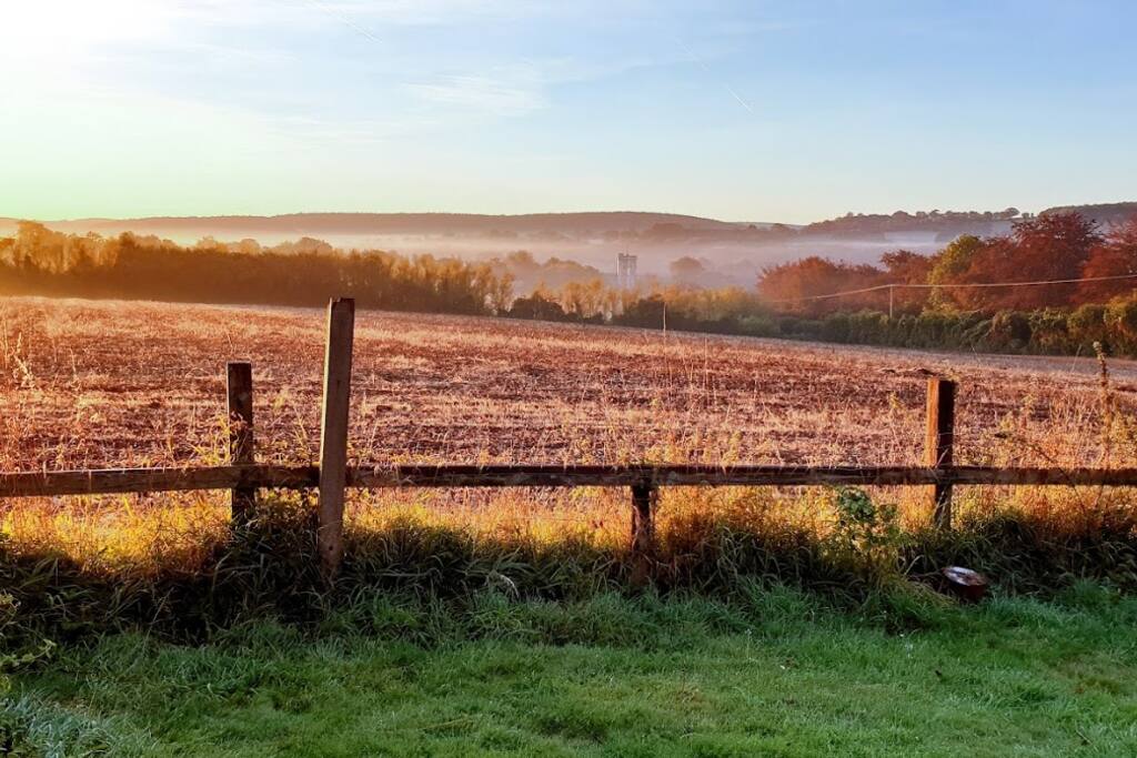 early morning view