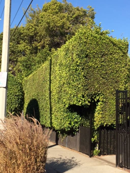 Private, hedged, gated entrance