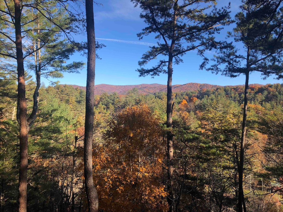 A panoramic view of rolling mountains is framed by tall pine and deciduous trees, showcasing autumn foliage in shades of orange and yellow. Clear blue skies provide a vibrant backdrop, while the varied landscape extends into the distance.