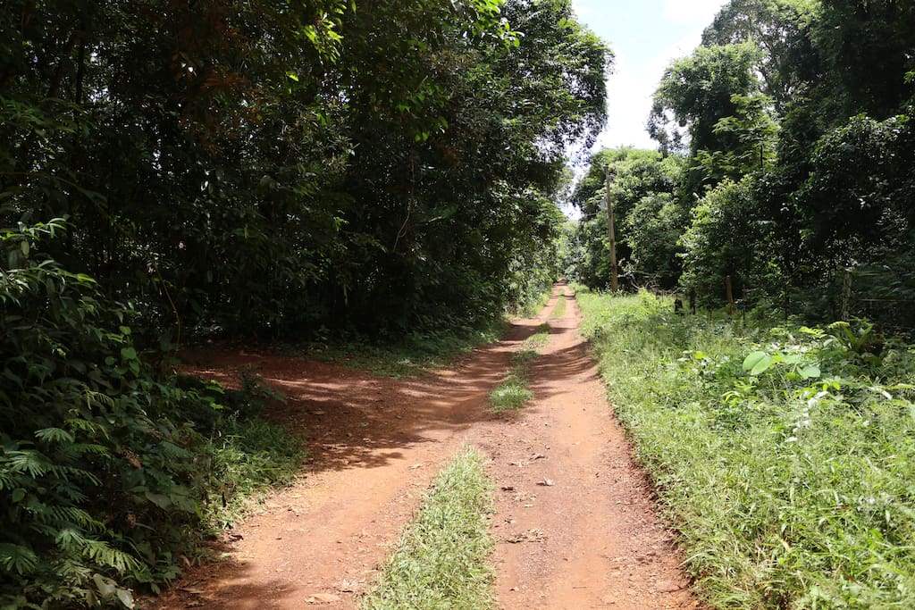 Estrada de Acesso