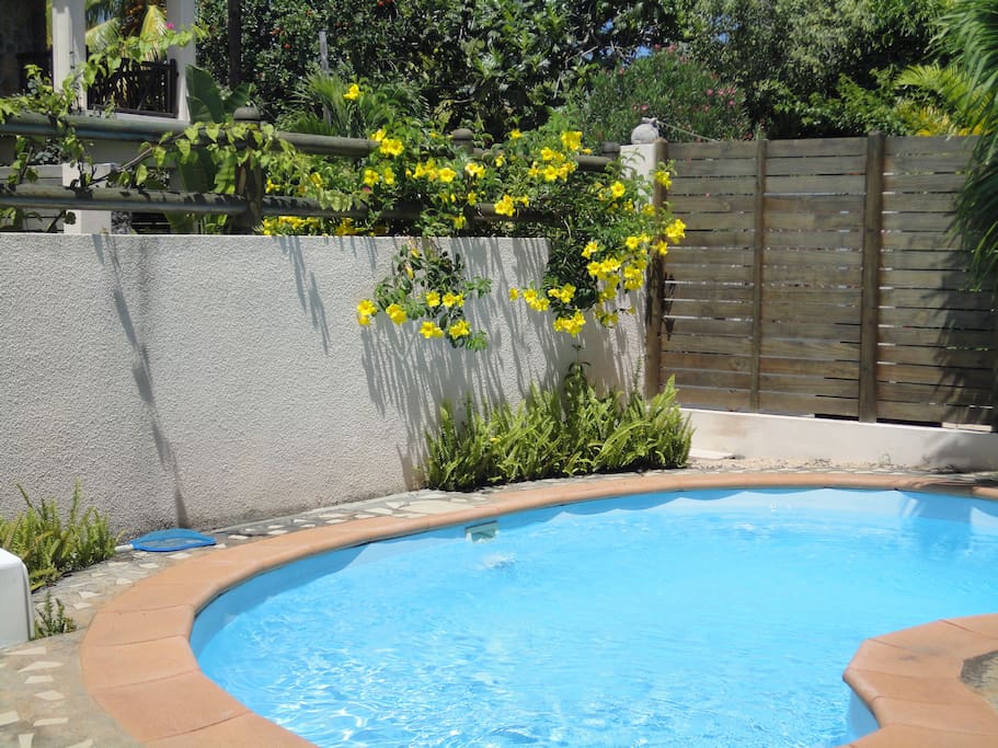 Pool
Piscine privée