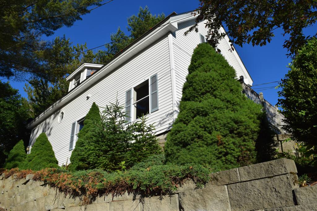 View from driveway