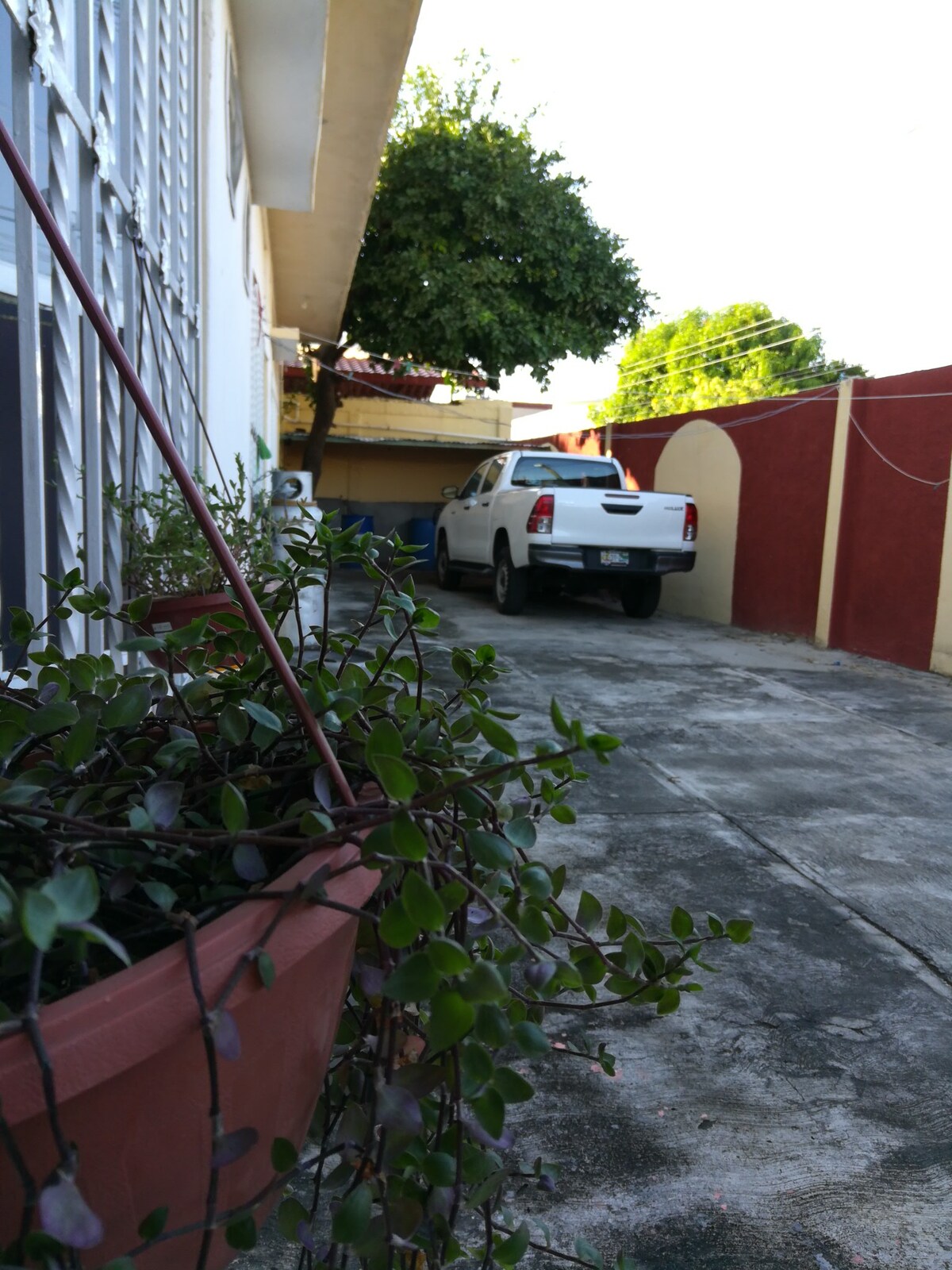 A driveway is shown with a white vehicle parked under a shade tree. Colorful walls in warm tones border the side, complementing a concrete surface. Potted plants hang from an iron railing, adding a touch of greenery to the scene.