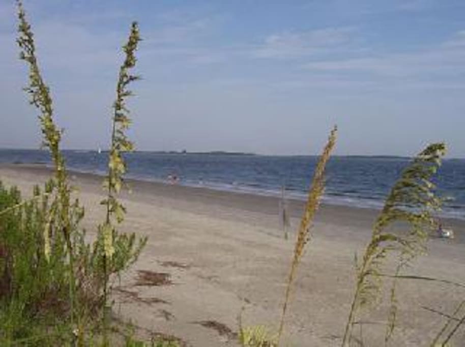 Quiet beach